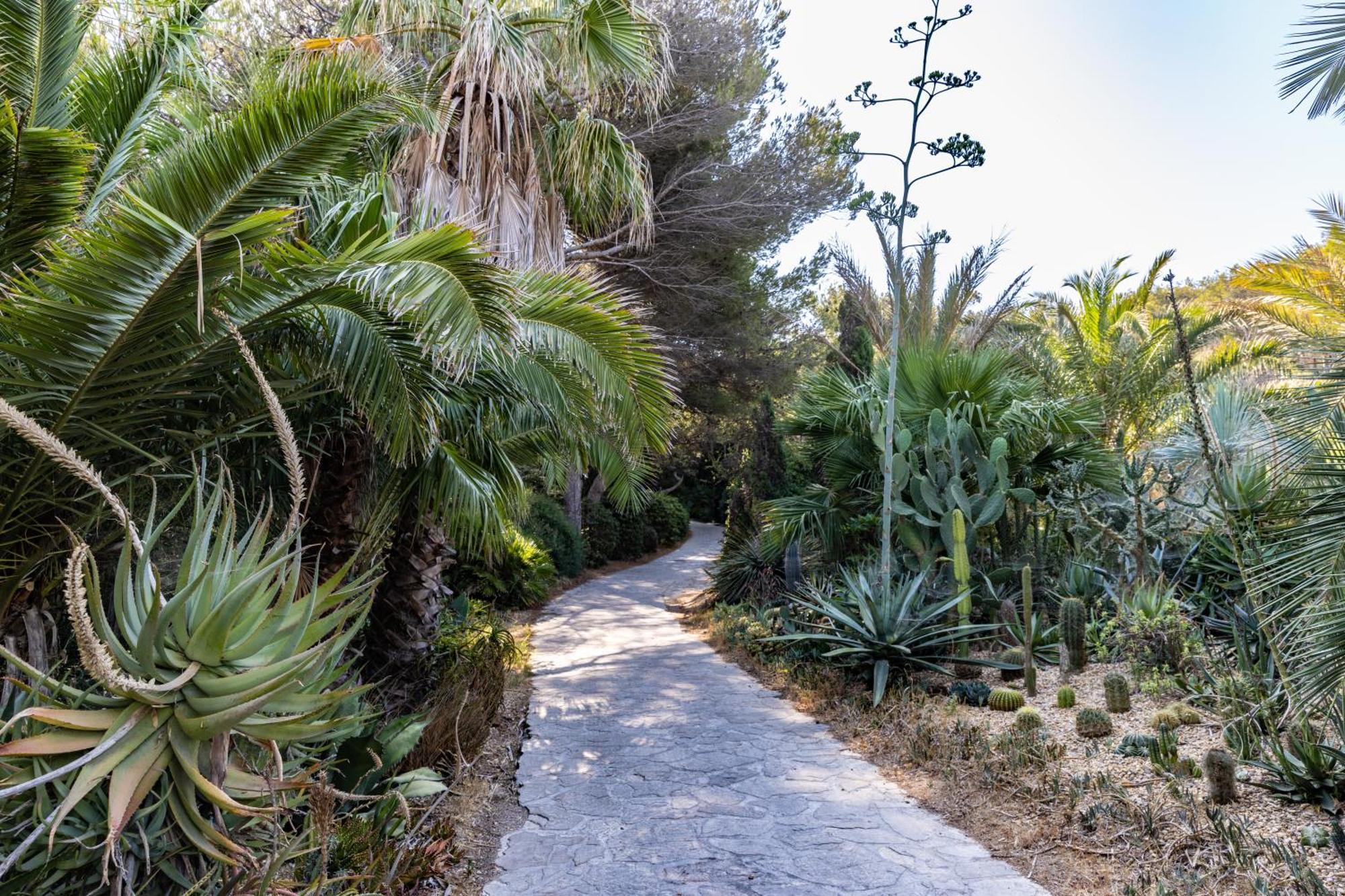 Villa Hippocampe Sanary-sur-Mer Exterior foto